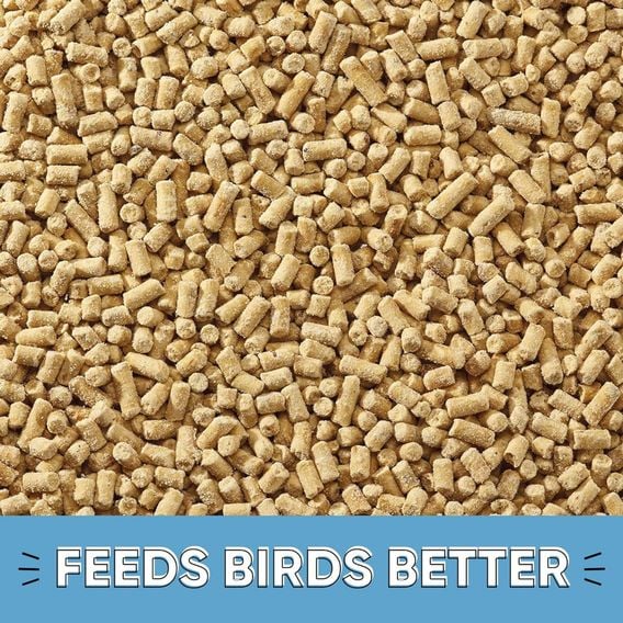 Happy Beaks - High Energy Insect Suet Pellets